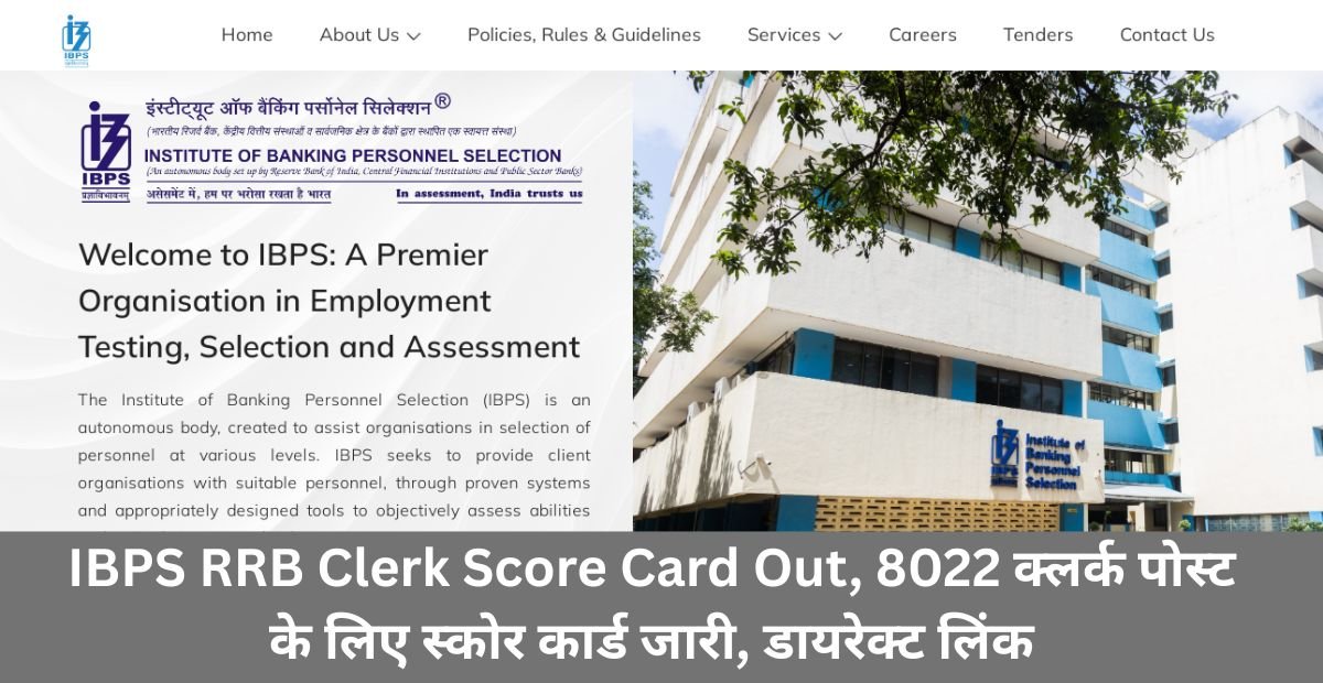 IBPS RRB Clerk Score Card Out